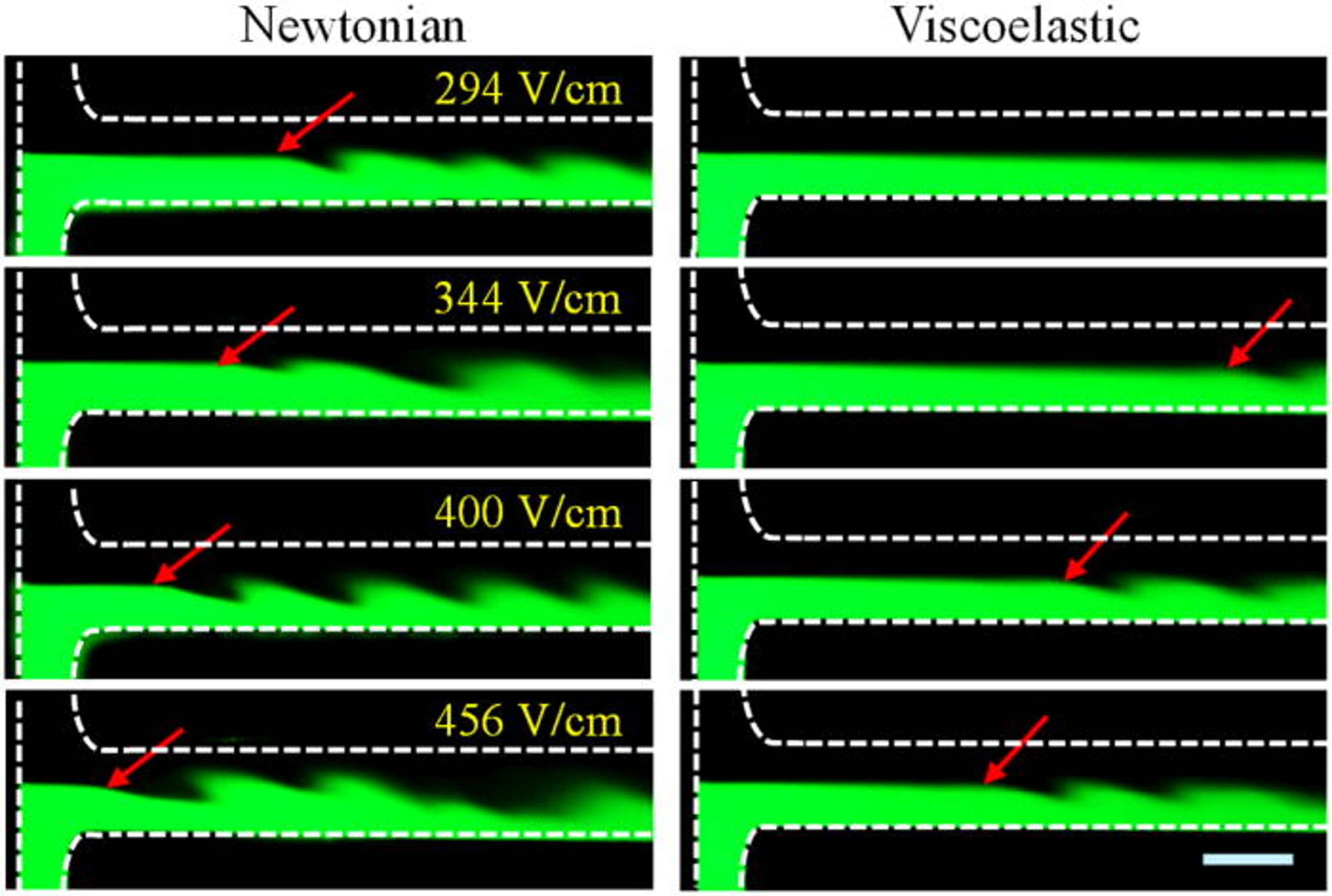 Electrokinetic Viscoelastic Graphical Abstract